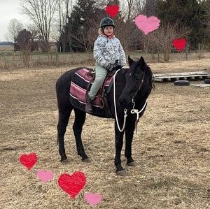 Meet your Posher, Alyssa